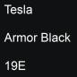 Preview: Tesla, Armor Black, 19E.